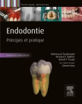 Endodontie vignette
