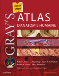 Gray's atlas d'anatomie humaine vignette